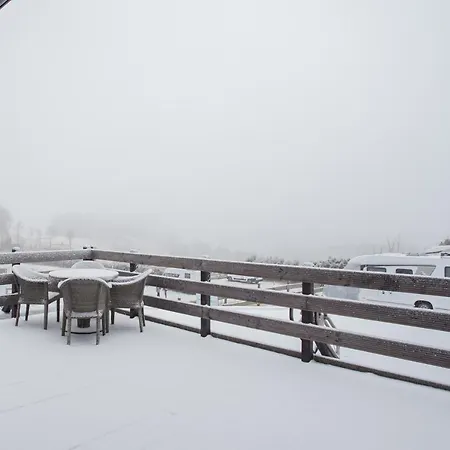 Talblick Auszeit Im Gruenen Mit Hund Apartman *